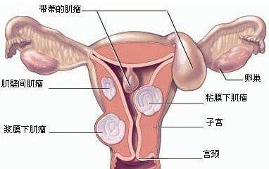 第366页